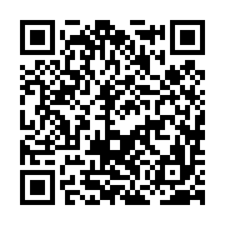 QR code for HGH496