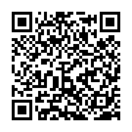 QR code for HGN411