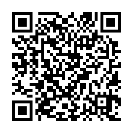 QR code for HGO335