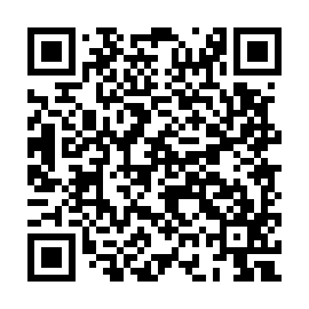 QR code for HGP597