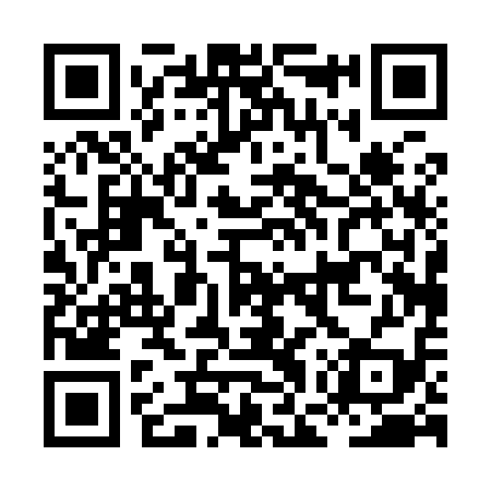 QR code for HGP919