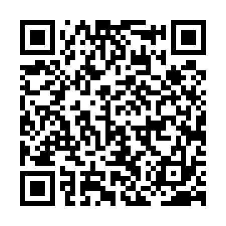 QR code for HGT533