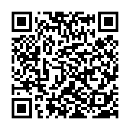 QR code for HHN438