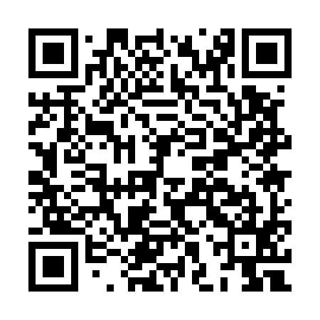 QR code for HHQ595