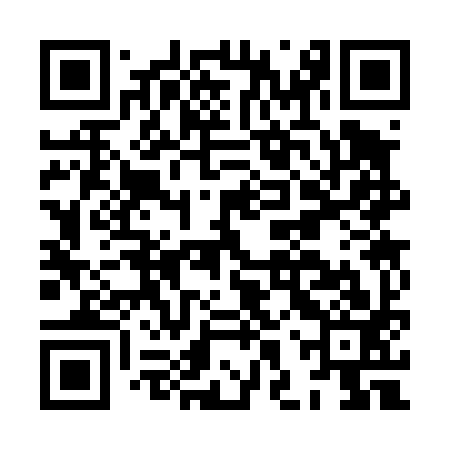 QR code for HHS493