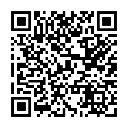 QR code for HHV383