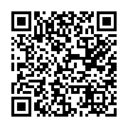 QR code for HHW383