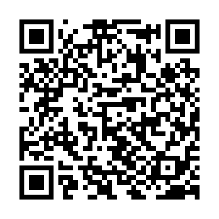 QR code for HIE219