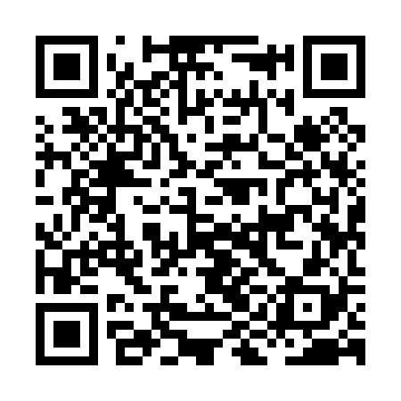 QR code for HII028