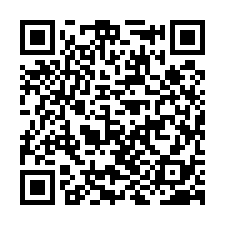 QR code for HII538