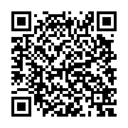 QR code for HIN029