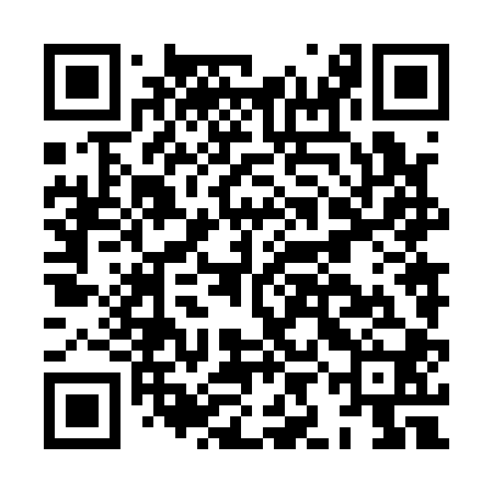 QR code for HIN100