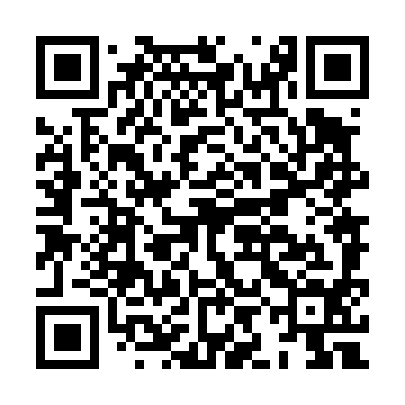 QR code for HIN494