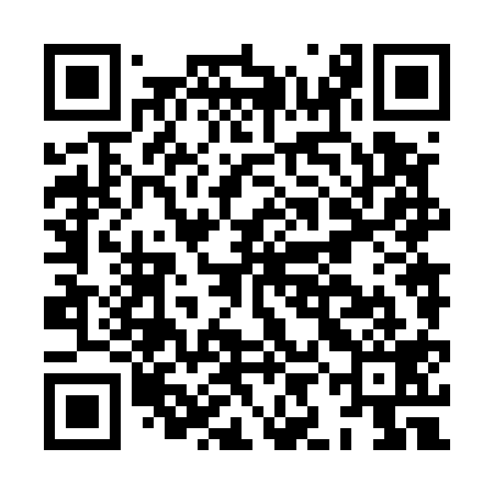 QR code for HIN519