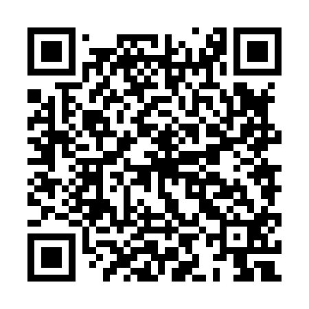 QR code for HIN812