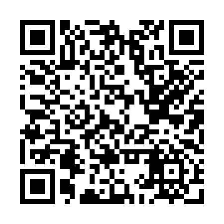 QR code for HIP397