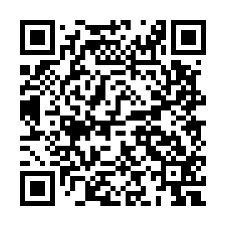 QR code for HIP513
