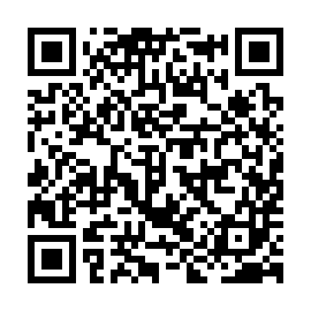 QR code for HIQ383