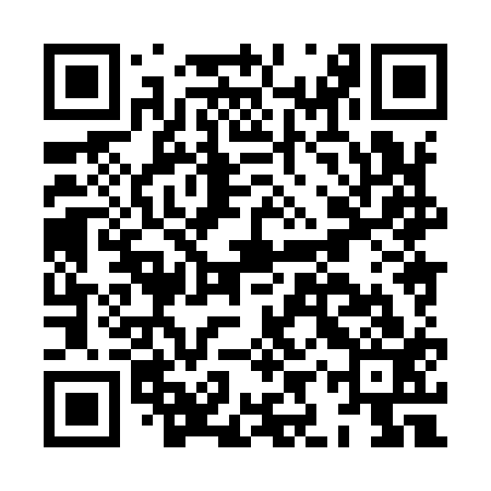 QR code for HIX913