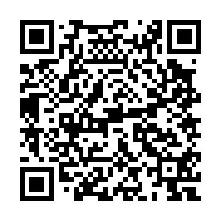 QR code for HIZ010