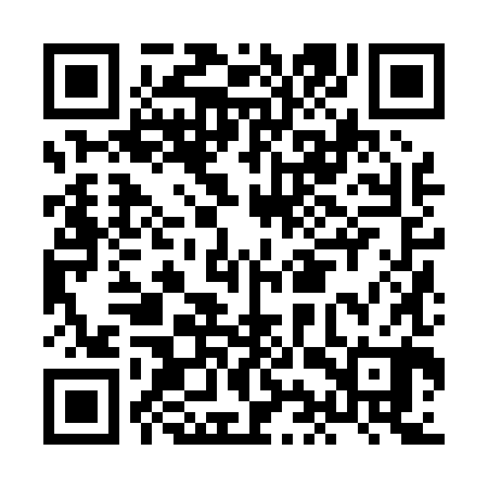 QR code for HIZ080