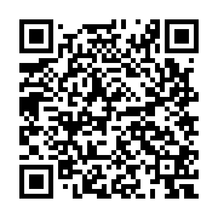 QR code for HIZ100