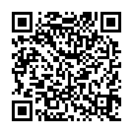 QR code for HIZ311