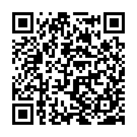 QR code for HJG384