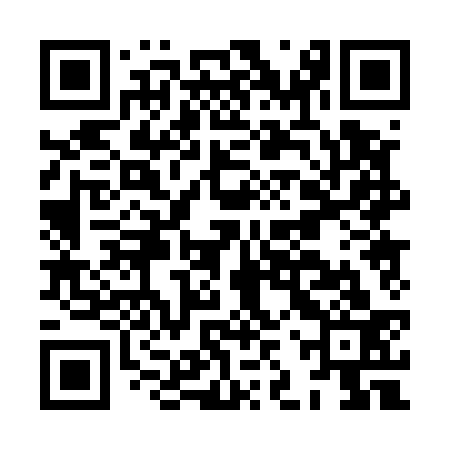QR code for HJP533