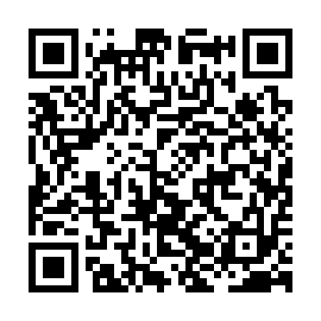QR code for HJQ313