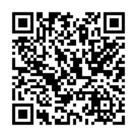 QR code for HJR295