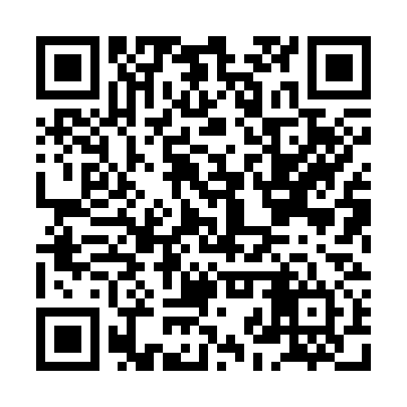 QR code for HJX334