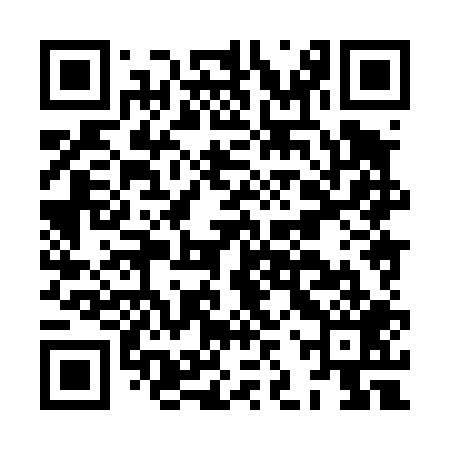 QR code for HJX409