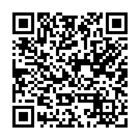 QR code for HKI380