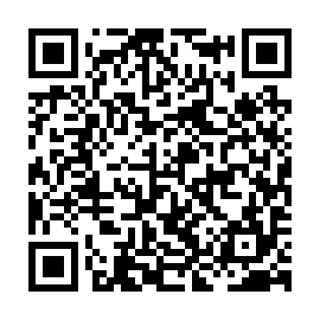 QR code for HKU294