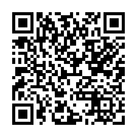 QR code for HLO333