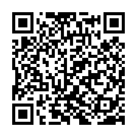 QR code for HLQ439