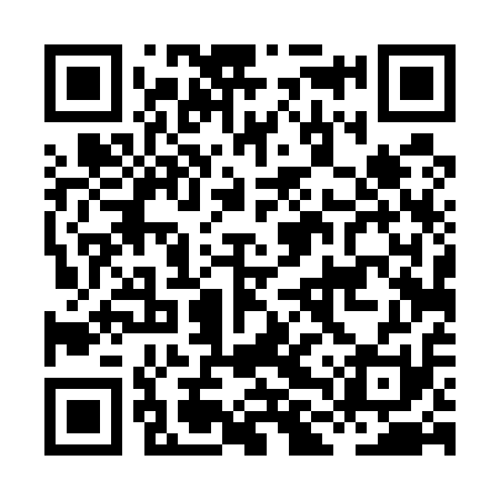 QR code for HLT511