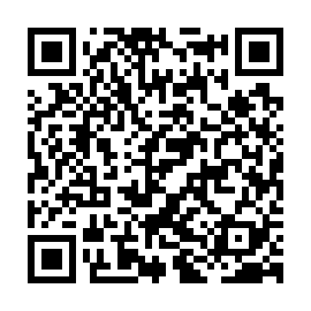 QR code for HLU729