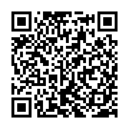 QR code for HLY381