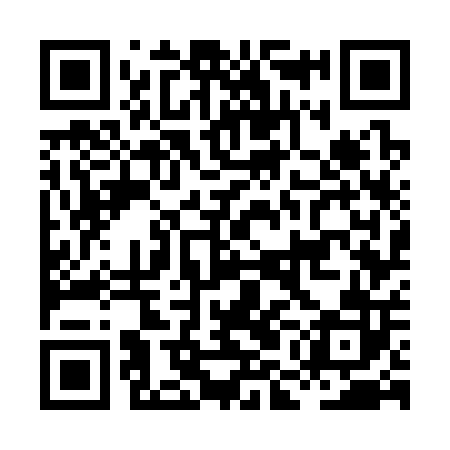 QR code for HMG302