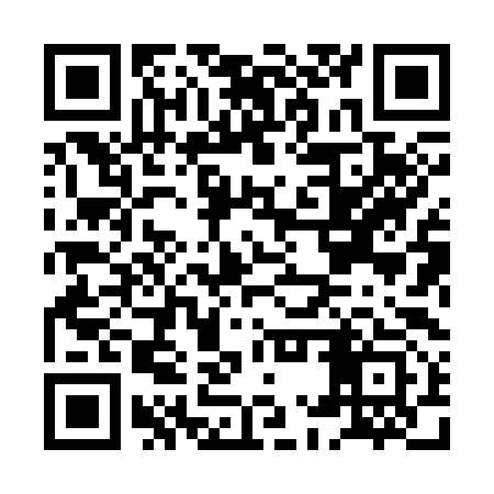 QR code for HMX393