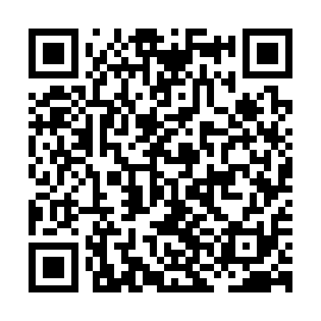 QR code for HNG311