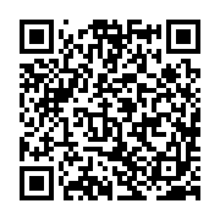 QR code for HNH393