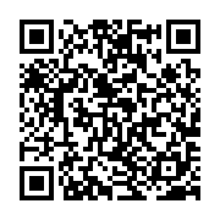 QR code for HNL395
