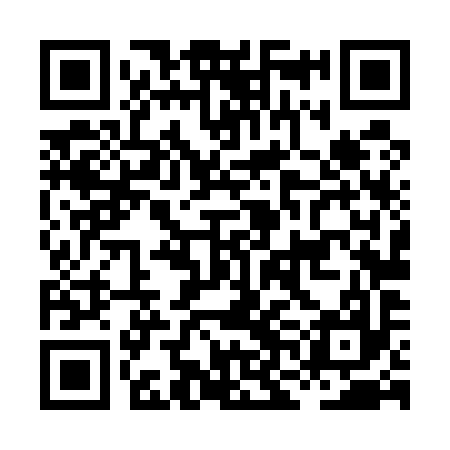 QR code for HNL597