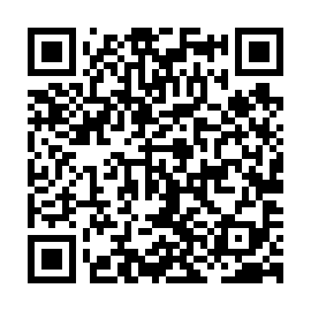 QR code for HNL699