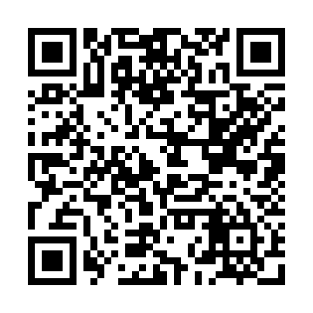 QR code for HNS335