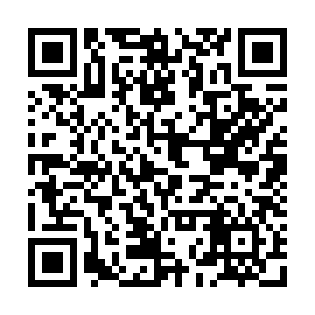 QR code for HNS786