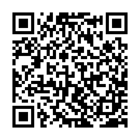 QR code for HNT383
